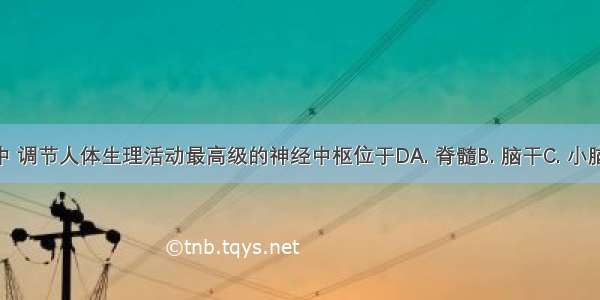 在神经系统中 调节人体生理活动最高级的神经中枢位于DA. 脊髓B. 脑干C. 小脑D. 大脑皮层