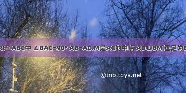 如图 在Rt△ABC中 ∠BAC=90° AB=AC.M是AC的中点 AD⊥BM 垂足为E 交BC于