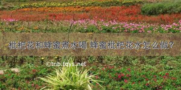 枇杷花和蜂蜜煮水喝 蜂蜜枇杷花水怎么做？