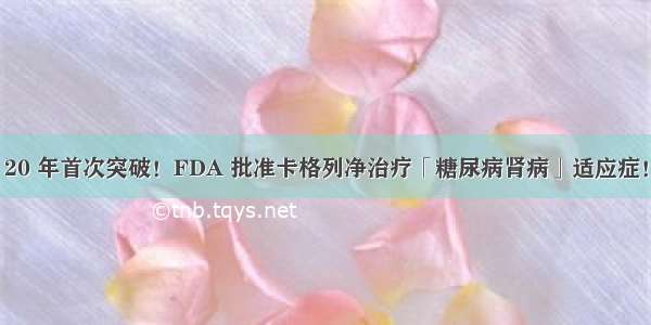 20 年首次突破！FDA 批准卡格列净治疗「糖尿病肾病」适应症！