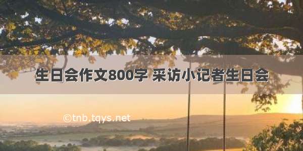 生日会作文800字 采访小记者生日会