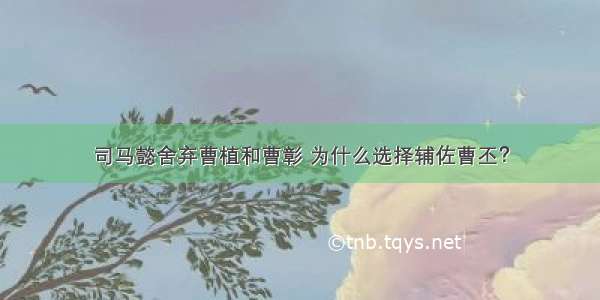 司马懿舍弃曹植和曹彰 为什么选择辅佐曹丕？