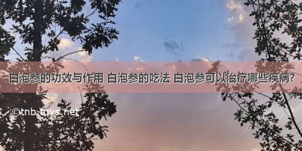 白泡参的功效与作用 白泡参的吃法 白泡参可以治疗哪些疾病？