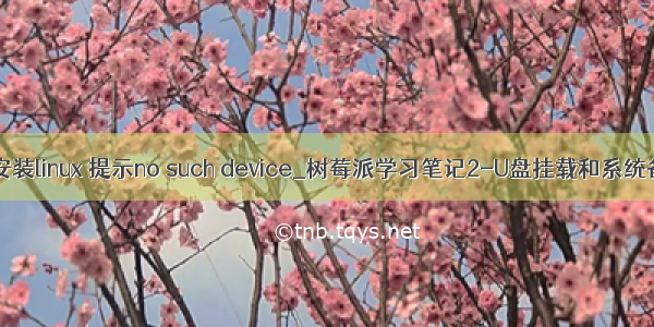 u盘安装linux 提示no such device_树莓派学习笔记2-U盘挂载和系统备份