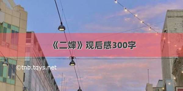 《二婶》观后感300字