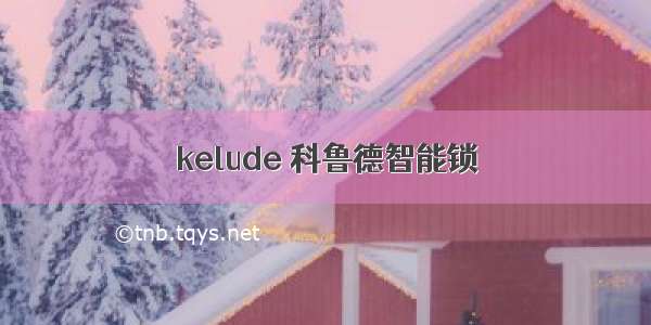 kelude 科鲁德智能锁