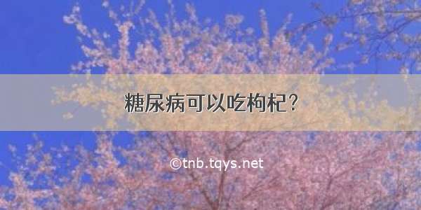 糖尿病可以吃枸杞？