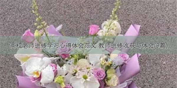 高校老师进修学习心得体会范文 教师进修收获与体会(9篇)