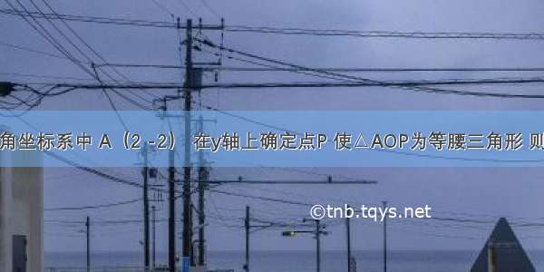 在平面直角坐标系中 A（2 -2） 在y轴上确定点P 使△AOP为等腰三角形 则符合条件