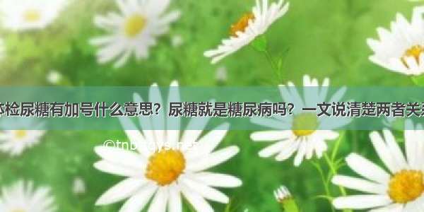 体检尿糖有加号什么意思？尿糖就是糖尿病吗？一文说清楚两者关系