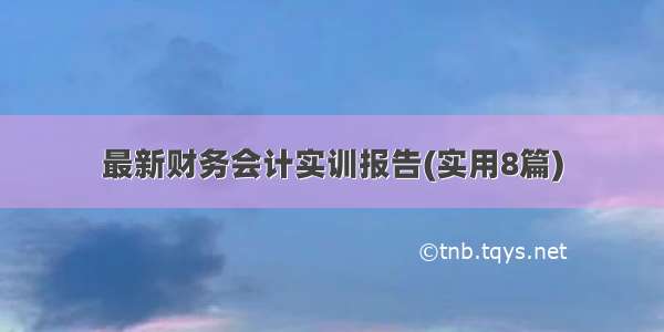 最新财务会计实训报告(实用8篇)