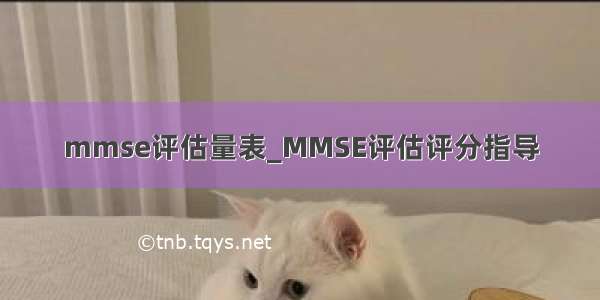 mmse评估量表_MMSE评估评分指导