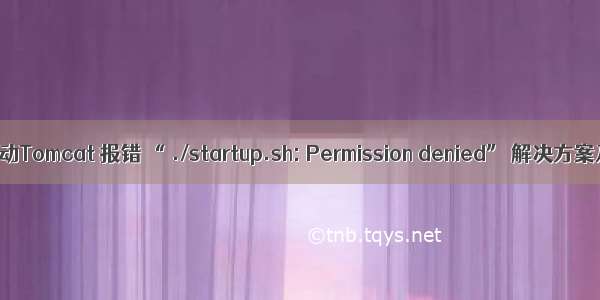 CentOS 7 启动Tomcat 报错 “ ./startup.sh: Permission denied” 解决方案及问题总结