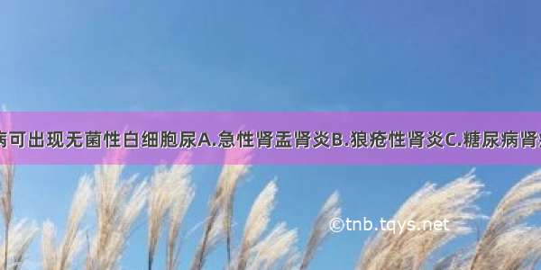 以下哪种疾病可出现无菌性白细胞尿A.急性肾盂肾炎B.狼疮性肾炎C.糖尿病肾病D.肾结核E.