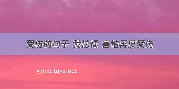 受伤的句子 我怯懦 害怕再度受伤