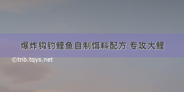 爆炸钩钓鲤鱼自制饵料配方 专攻大鲤