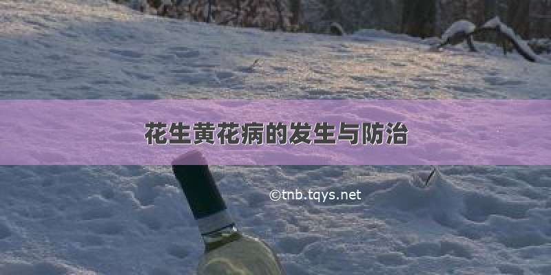 花生黄花病的发生与防治