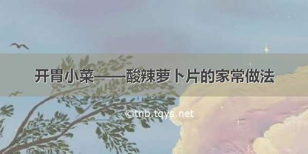 开胃小菜——酸辣萝卜片的家常做法