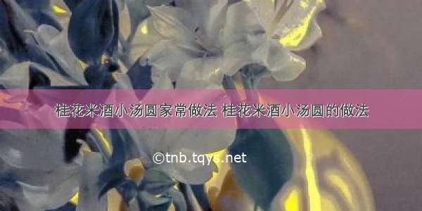 桂花米酒小汤圆家常做法 桂花米酒小汤圆的做法