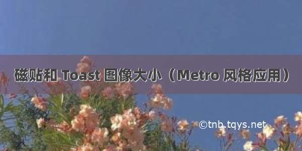 磁贴和 Toast 图像大小（Metro 风格应用）