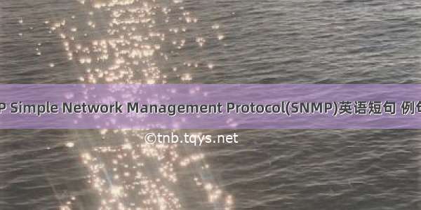 SNMP Simple Network Management Protocol(SNMP)英语短句 例句大全