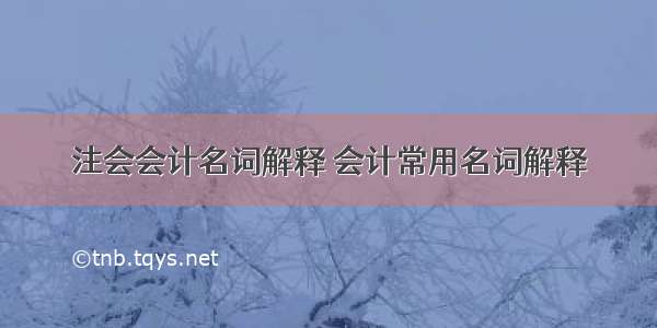 注会会计名词解释 会计常用名词解释