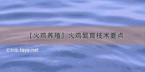 【火鸡养殖】火鸡繁育技术要点