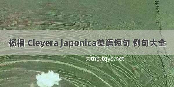 杨桐 Cleyera japonica英语短句 例句大全