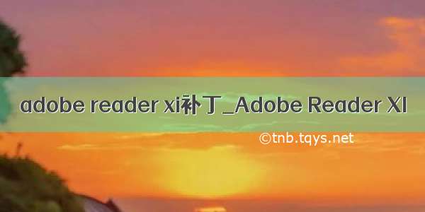 adobe reader xi补丁_Adobe Reader XI