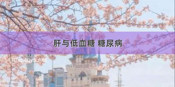 肝与低血糖 糖尿病