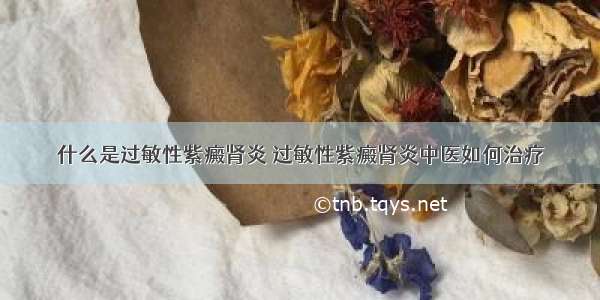 什么是过敏性紫癜肾炎 过敏性紫癜肾炎中医如何治疗