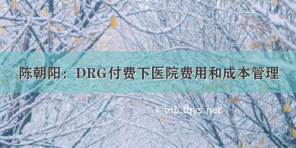 陈朝阳：DRG付费下医院费用和成本管理