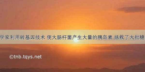 单选题科学家利用转基因技术 使大肠杆菌产生大量的胰岛素 拯救了大批糖尿病患者。