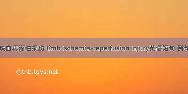 肢体缺血再灌注损伤 limb ischemia-reperfusion injury英语短句 例句大全