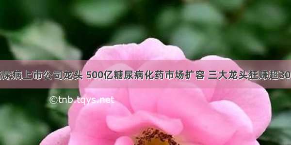 糖尿病上市公司龙头 500亿糖尿病化药市场扩容 三大龙头狂赚超30亿