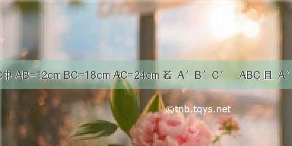 △ABC中 AB=12cm BC=18cm AC=24cm 若△A′B′C′∽△ABC 且△A′B′