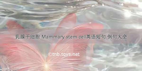 乳腺干细胞 Mammary stem cell英语短句 例句大全