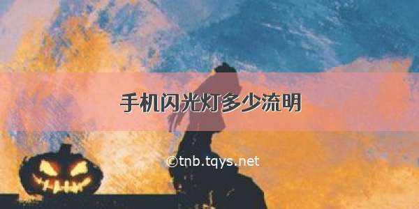 手机闪光灯多少流明