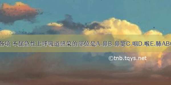 下列各项 不属急性上呼吸道感染的部位是A.鼻B.鼻窦C.咽D.喉E.肺ABCDE