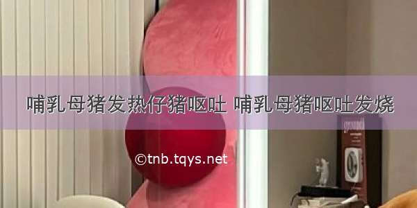 哺乳母猪发热仔猪呕吐 哺乳母猪呕吐发烧