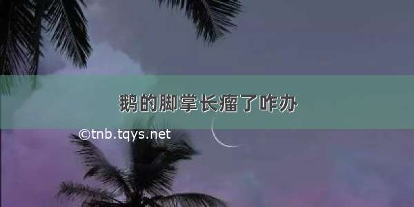 鹅的脚掌长瘤了咋办