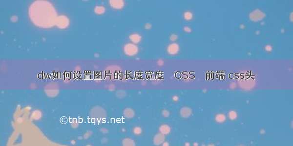 dw如何设置图片的长度宽度 – CSS – 前端 css头