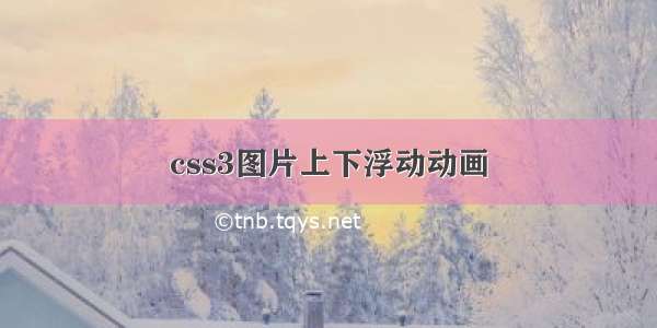 css3图片上下浮动动画