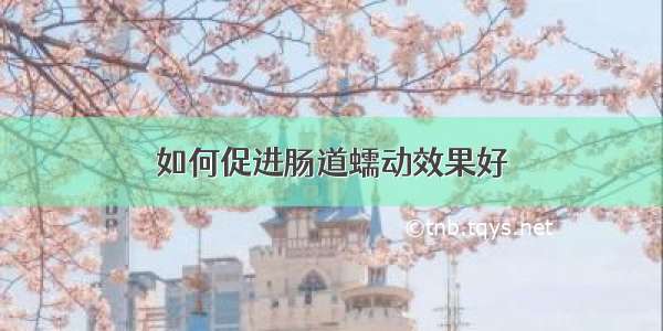 如何促进肠道蠕动效果好