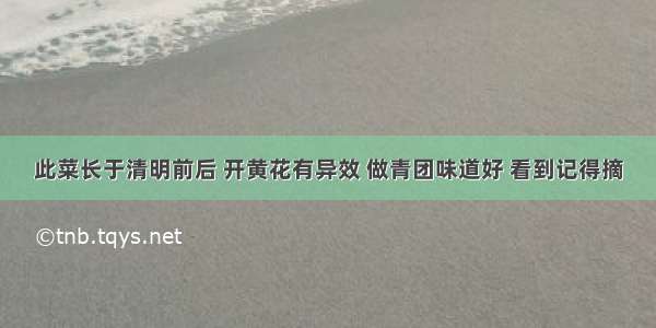 此菜长于清明前后 开黄花有异效 做青团味道好 看到记得摘