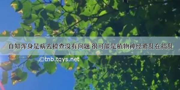 自知浑身是病去检查没有问题 很可能是植物神经紊乱在捣乱