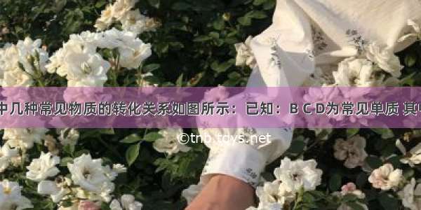 中学化学中几种常见物质的转化关系如图所示：已知：B C D为常见单质 其中C为气休 