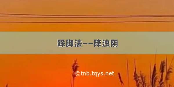 跺脚法——降浊阴