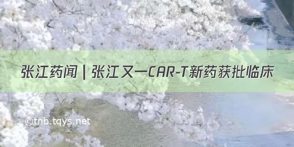 张江药闻 | 张江又一CAR-T新药获批临床