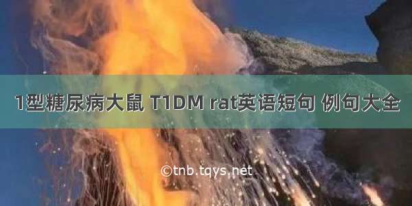 1型糖尿病大鼠 T1DM rat英语短句 例句大全